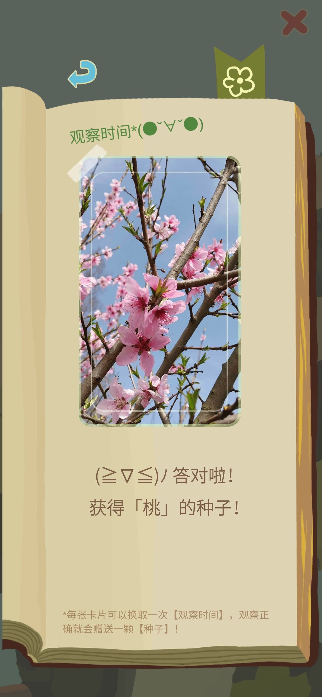 老农种树新手开局玩法与种树入门技巧攻略