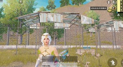 和平精英蝶舞迷情套装抽取花费解析