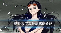 航海王燃烧技能搭配与等级玩法攻略