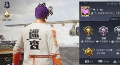 和平精英巡查获取专家巡查员套装次数解析