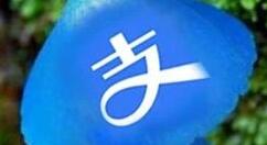 支付宝APP发布新版本 LOGO更蓝了