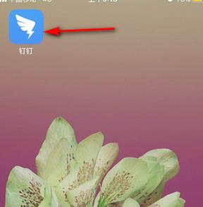 钉钉主管管理部门权限打开方法