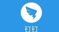 钉钉中取消翻译的详细方法