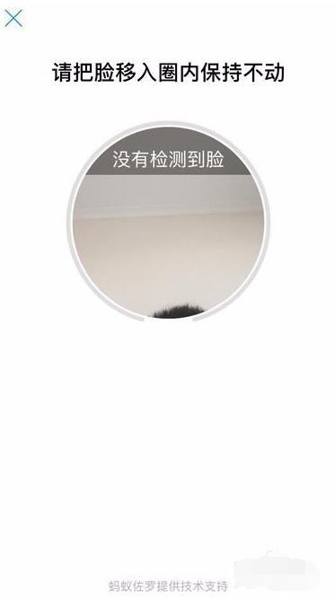 支付宝开通刷脸支付的详细步骤