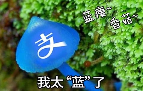 支付宝APP发布新版本 LOGO更蓝了