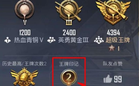 和平精英王牌之路与王牌印记作用解析