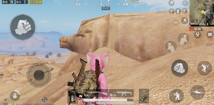和平精英沙漠网红猪坐标与打卡玩法详解