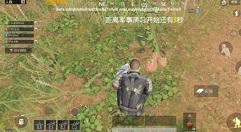Pubg Mobile丛林浆果作用与获取方法解析