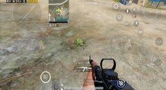 和平精英迷你灌木丛出现位置与坐标一览