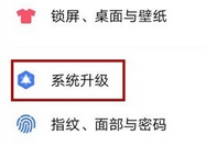 vivo NEX 3s关闭系统自动更新的方法步骤