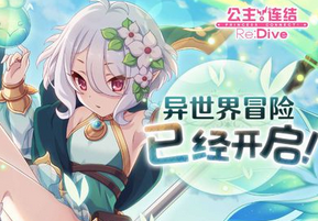 公主连结双充511阵容介绍
