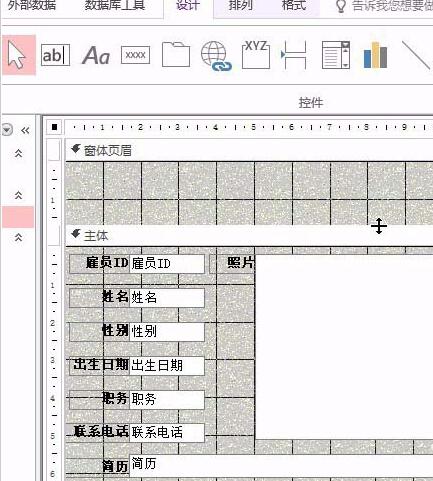 access设置窗体页眉标签的操作方法截图