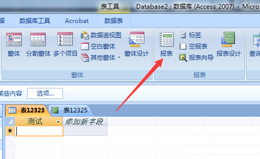 access数据库修改报表微目的操作方法截图