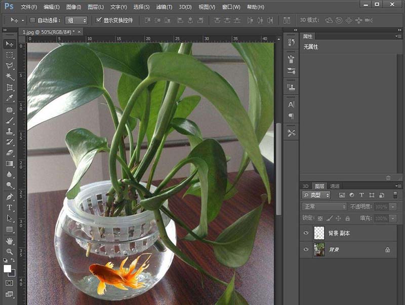 Photoshop在绿萝花瓶中合成小金鱼的图文方法截图