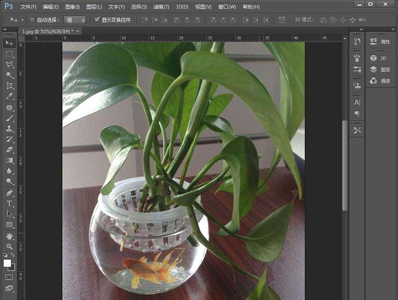 Photoshop在绿萝花瓶中合成小金鱼的图文方法截图