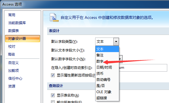 access对象设计器默认字段类别设置方法截图
