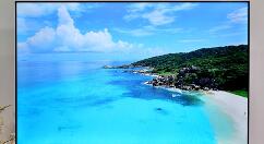 荣耀智慧屏X1 65英寸登场 首销日2999元