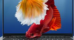 第一款MX350独显笔记本特惠：十代i5 仅4299元