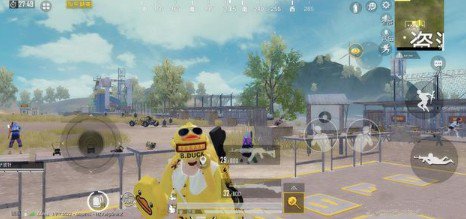 和平精英小黄鸭系列皮肤实用评测解析