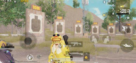 和平精英小黄鸭系列皮肤实用评测解析