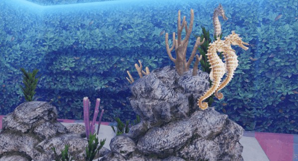 明日之后圣罗纳市莱文市黎明区新鱼详解