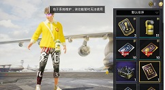 和平精英改名卡功能暂时无法使用原因解析