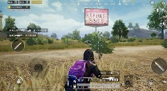 和平精英永恒守护和平有你展示牌详解