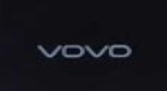 一款“VDVD”新机入网工信部 采用挖孔屏