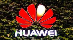 华为P50稳了：使用上麒麟1020