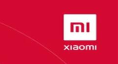 Redmi Note 9登录印尼！6GB+128GB+NFC 仅1400元