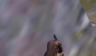 和平精英隐身石位置与卡入石头方法攻略