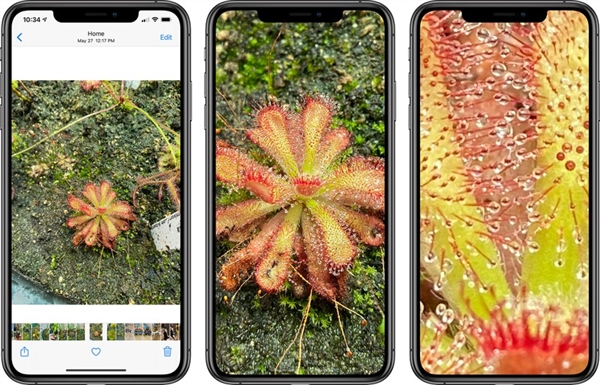 必须升!iOS 14照片放大倍数明显增加