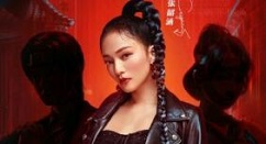 火影忍者手游决斗场见后续歌手一览