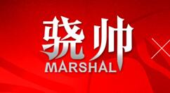 金泰克骁帅系列DDR4内存上市：满满的国风