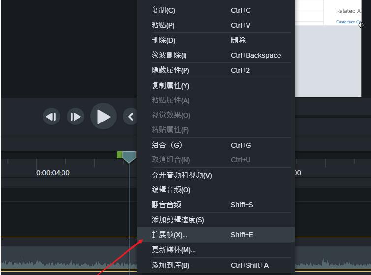 Camtasia Studio增帧的操作方法