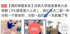 她社区发表话题的操作教程分享