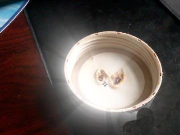 AE给素材添加发光效果的操作方法