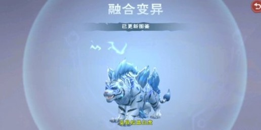 创造与魔法皎晶白虎融合变异与资质解析