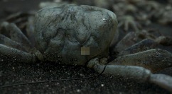 《死亡搁浅》极端份子营地刷新与否介绍