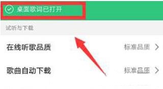 手机QQ音乐怎么开启桌面歌词4