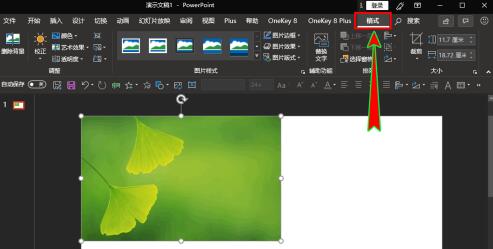 PPT如何插入的图片放到幻灯片中间位置 PPT中插入的图片放到幻灯片正中间位置的操作