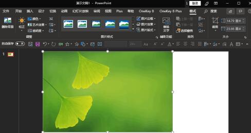 PPT如何插入的图片放到幻灯片中间位置 PPT中插入的图片放到幻灯片正中间位置的操作