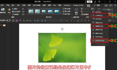 PPT如何插入的图片放到幻灯片中间位置 PPT中插入的图片放到幻灯片正中间位置的操作