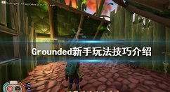 grounded禁闭求生新手玩法攻略 新手玩法技巧介绍