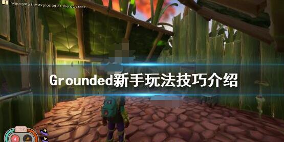 grounded禁闭求生新手玩法攻略 新手玩法技巧介绍
