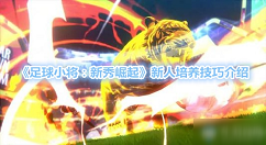 足球小将新秀崛起怎么培养角色 足球小将新秀崛起培养攻略