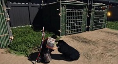 对马岛之魂怎么撸狗招募为伙伴 对马岛之魂多人模式可以撸狗