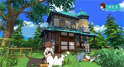 小森生活怎么领养猫 小森生活流浪猫领养方法介绍