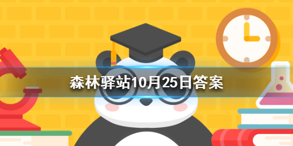 珍珠中的珍珠质是由珍珠蚌的什么结构分泌的 森林驿站今日答案