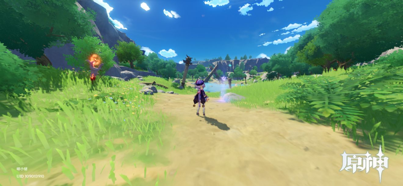 原神蒙德观景点在哪里?原神1.1版本蒙德地理志图鉴解析